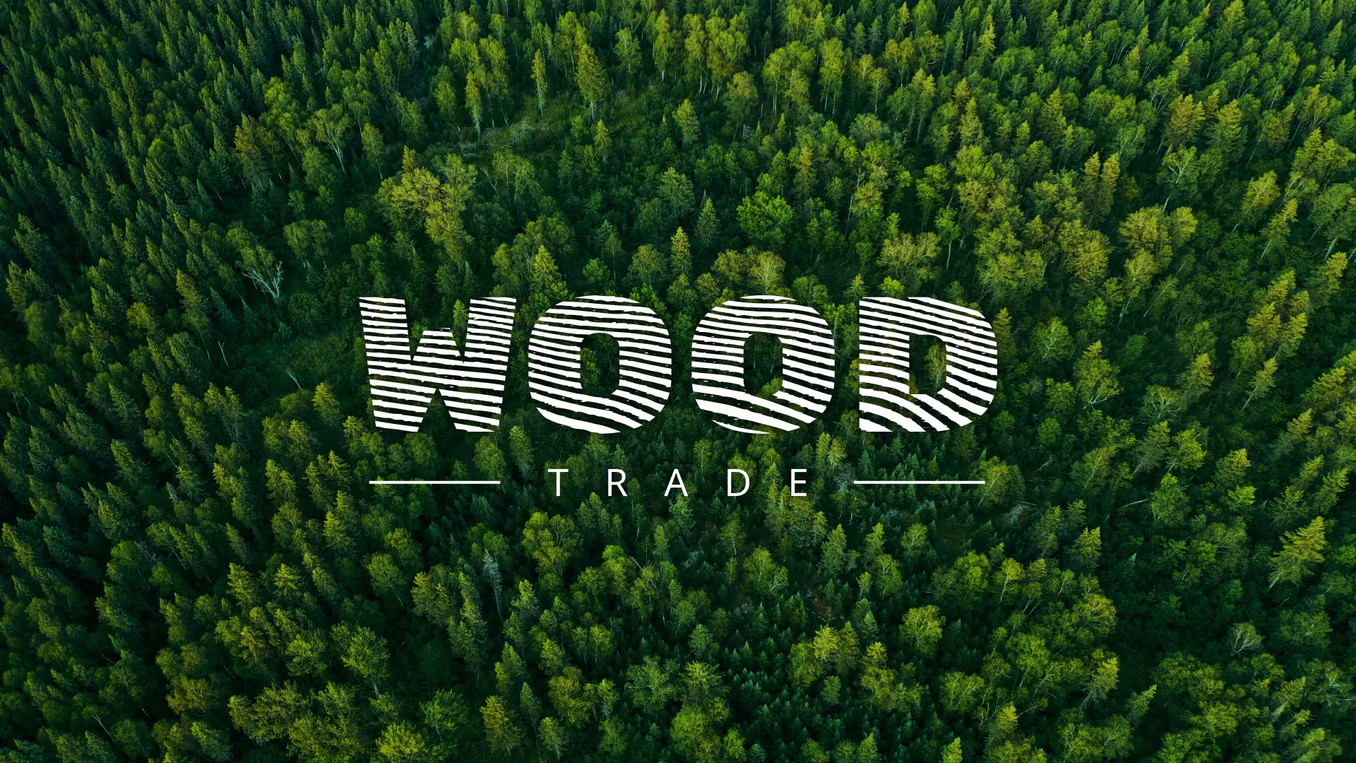 Разработка интернет-магазина компании «Wood Trade» в Ижевске